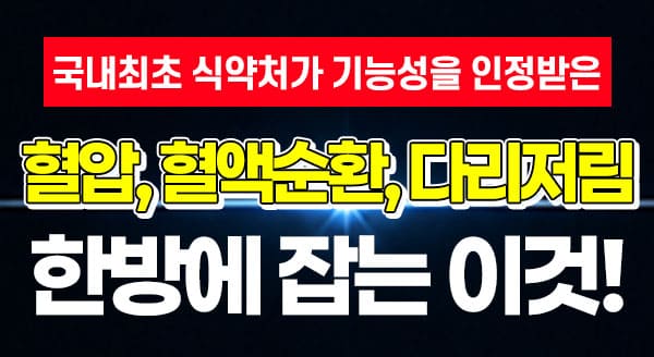 더루트알지쓰리